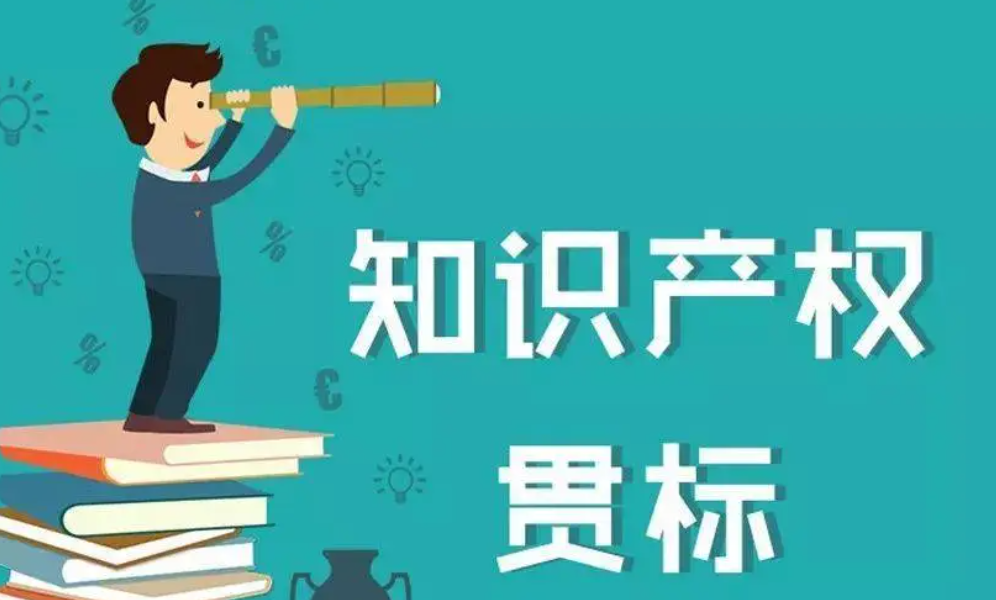 知識產(chǎn)權(quán)貫標(biāo)流程包括什么-海南知識產(chǎn)權(quán)-錢生錢財(cái)務(wù)咨詢
