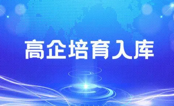 高企培育入庫條件有哪些？ -海南高企培育-錢生錢財務咨詢